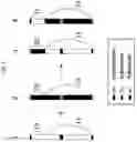 Fig. 03 - ARTIFICIAL RECOMBINANT CHROMOSOME AND USE THEREOF