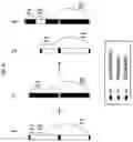 Fig. 09 - ARTIFICIAL RECOMBINANT CHROMOSOME AND USE THEREOF