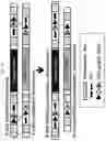 Fig. 20 - ARTIFICIAL RECOMBINANT CHROMOSOME AND USE THEREOF