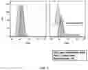 Fig. 03 - Method for Producing Virus-Infected Cell Line and Animal Model