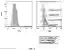 Fig. 04 - Method for Producing Virus-Infected Cell Line and Animal Model