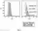 Fig. 05 - Method for Producing Virus-Infected Cell Line and Animal Model