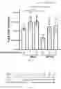 Fig. 08 - Plakophillin-2 gene therapy methods and compositions