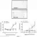 Fig. 19 - Plakophillin-2 gene therapy methods and compositions