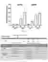 Fig. 22 - Plakophillin-2 gene therapy methods and compositions
