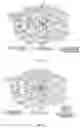 Fig. 14 - MSBI SEQUENCES AS AN EARLY MARKER FOR THE FUTURE DEVELOPMENT OF CANCER AND DISEASES OF THE CNS AND AS A TARGET FOR THE TREATMENT AND PREVENTION OF THESE DISEASES