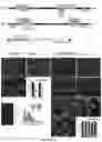 Fig. 02 - GENETIC TARGETING OF CELLULAR OR NEURONAL SUB-POPULATIONS