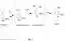 Fig. 02 - BIOSYNTHESIS OF VANILLIN FROM ISOEUGENOL
