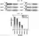 Fig. 10 - Method for biologically producing acetin compound
