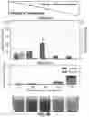 Fig. 05 - HOST YEAST CELLS AND METHODS USEFUL FOR PRODUCING INDIGOIDINE