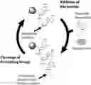 Fig. 01 - Compositions and methods related to nucleic acid synthesis