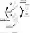Fig. 02 - Compositions and methods related to nucleic acid synthesis