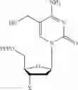 Fig. 10 - Compositions and methods related to nucleic acid synthesis