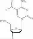 Fig. 12 - Compositions and methods related to nucleic acid synthesis