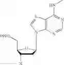 Fig. 13 - Compositions and methods related to nucleic acid synthesis