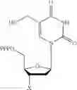 Fig. 14 - Compositions and methods related to nucleic acid synthesis