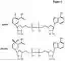Fig. 02 - STABILIZATION OF NADPH OR NADH IN AMMONIA DETECTION ASSAYS