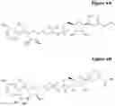 Fig. 07 - STABILIZATION OF NADPH OR NADH IN AMMONIA DETECTION ASSAYS