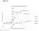 Fig. 13 - SPECTROSCOPIC METHODS, REAGENTS AND SYSTEMS TO DETECT, IDENTIFY, AND CHARACTERIZE BACTERIA FOR ANTIMICROBIAL SUSCEPTIBLITY