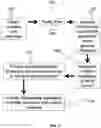 Fig. 02 - Long non-coding RNA gene expression signatures in disease monitoring and treatment