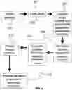 Fig. 03 - Long non-coding RNA gene expression signatures in disease monitoring and treatment