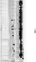 Fig. 09 - Long non-coding RNA gene expression signatures in disease monitoring and treatment