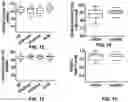 Fig. 13 - Long non-coding RNA gene expression signatures in disease monitoring and treatment