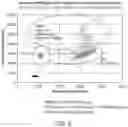 Fig. 12 - DETECTION OF GENOME EDITING