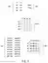 Fig. 06 - Spatially encoded biological assays