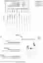 Fig. 03 - NOVEL ENZYMATIC METHODS TO GENERATE HIGH YIELDS OF SEQUENCE SPECIFIC RNAS WITH EXTREME PRECISION