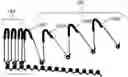Fig. 01 - ENHANCEMENT OF NUCLEIC ACID POLYMERIZATION BY AROMATIC COMPOUNDS