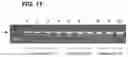 Fig. 14 - ENHANCEMENT OF NUCLEIC ACID POLYMERIZATION BY AROMATIC COMPOUNDS