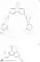 Fig. 201 - ENHANCEMENT OF NUCLEIC ACID POLYMERIZATION BY AROMATIC COMPOUNDS