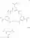 Fig. 229 - ENHANCEMENT OF NUCLEIC ACID POLYMERIZATION BY AROMATIC COMPOUNDS