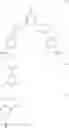 Fig. 245 - ENHANCEMENT OF NUCLEIC ACID POLYMERIZATION BY AROMATIC COMPOUNDS