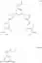 Fig. 246 - ENHANCEMENT OF NUCLEIC ACID POLYMERIZATION BY AROMATIC COMPOUNDS