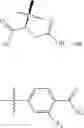 Fig. 28 - ENHANCEMENT OF NUCLEIC ACID POLYMERIZATION BY AROMATIC COMPOUNDS