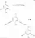 Fig. 52 - ENHANCEMENT OF NUCLEIC ACID POLYMERIZATION BY AROMATIC COMPOUNDS