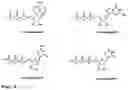 Fig. 07 - Synthesis of cleavable fluorescent nucleotides as reversible terminators for DNA sequencing by synthesis