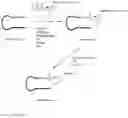 Fig. 10 - Synthesis of cleavable fluorescent nucleotides as reversible terminators for DNA sequencing by synthesis