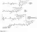 Fig. 17 - Synthesis of cleavable fluorescent nucleotides as reversible terminators for DNA sequencing by synthesis