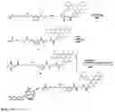 Fig. 18 - Synthesis of cleavable fluorescent nucleotides as reversible terminators for DNA sequencing by synthesis