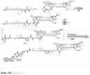 Fig. 19 - Synthesis of cleavable fluorescent nucleotides as reversible terminators for DNA sequencing by synthesis