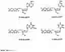 Fig. 25 - Synthesis of cleavable fluorescent nucleotides as reversible terminators for DNA sequencing by synthesis