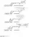 Fig. 26 - Synthesis of cleavable fluorescent nucleotides as reversible terminators for DNA sequencing by synthesis