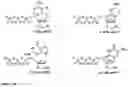 Fig. 33 - Synthesis of cleavable fluorescent nucleotides as reversible terminators for DNA sequencing by synthesis