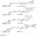 Fig. 34 - Synthesis of cleavable fluorescent nucleotides as reversible terminators for DNA sequencing by synthesis