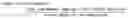 Fig. 08 - METHOD OF NUCLEAR DNA AND MITOCHONDRIAL DNA ANALYSIS