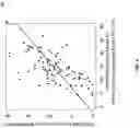 Fig. 10 - METHOD OF NUCLEAR DNA AND MITOCHONDRIAL DNA ANALYSIS