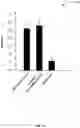 Fig. 13 - METHOD OF NUCLEAR DNA AND MITOCHONDRIAL DNA ANALYSIS